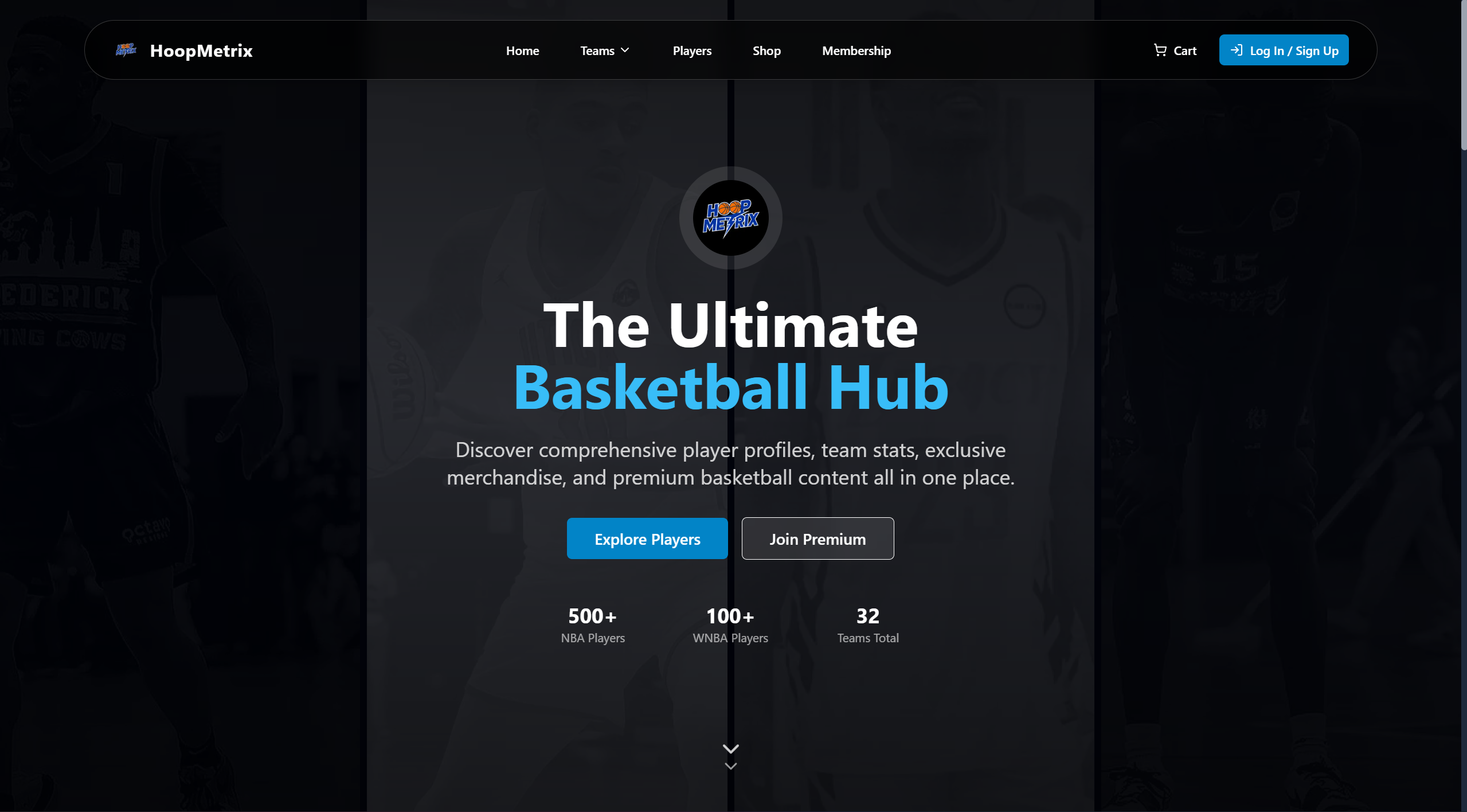 Hoop Metrix - Image 1